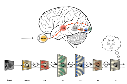 Diagram comparing visual processing in the brain and deep learning