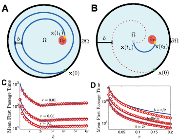 Diagrams and graphs illustrating persistent search dynamics in confined domains