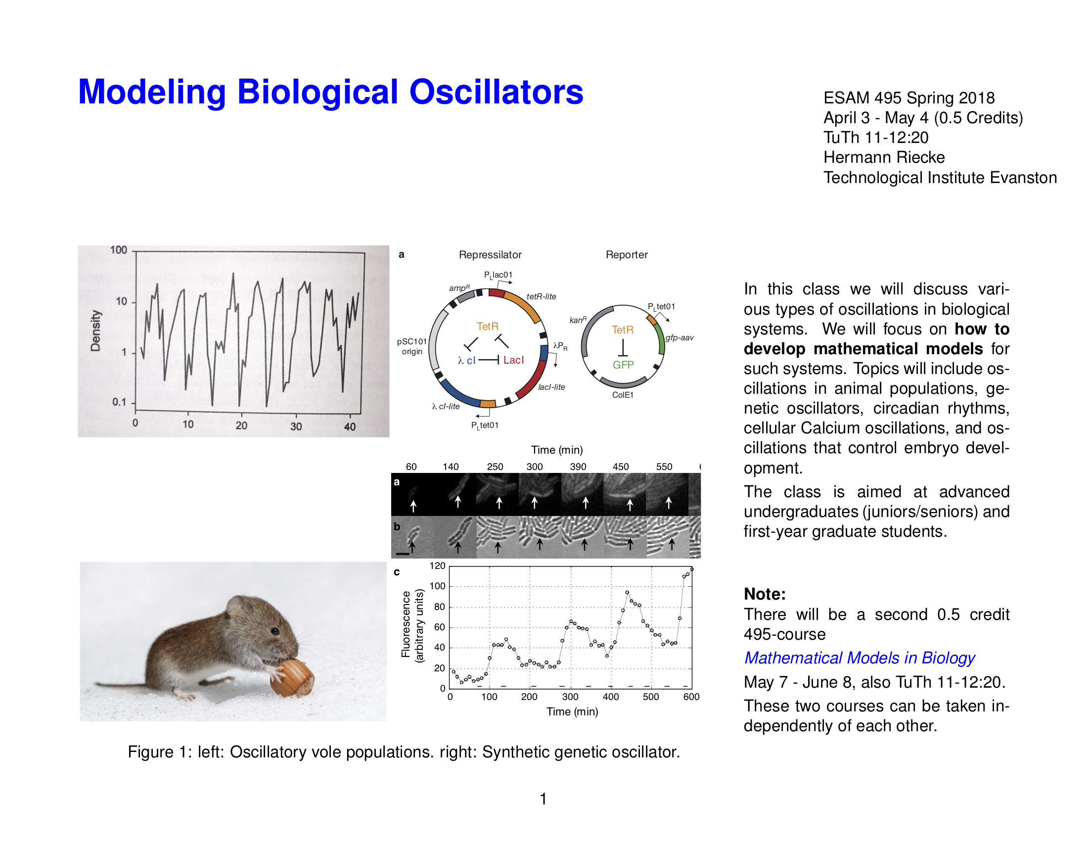 Course flyer for 'Modeling Biological Oscillators' with images of vole populations and genetic oscillators